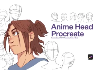 10 anime head procreate 40249