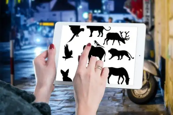 10 Beautiful Animal Brush Stamps V 3 3 10 beautiful animal brush stamps v 3 graphics 27905471 3 580x385 38099
