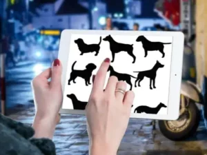 10 beautiful dog brush stamps v 2 graphics 27796582 1 1 580x385 38068