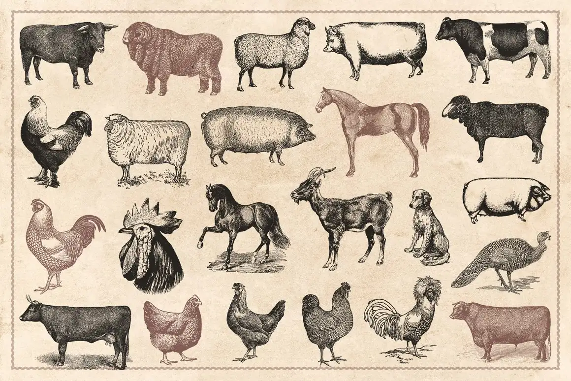 100 Vintage Farm Animals (Vector) 5 100 vintage farm animals (vector) (1) 20282