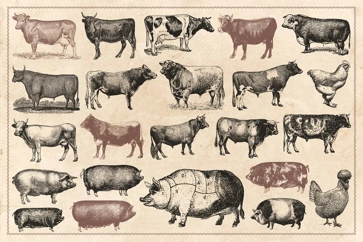 100 Vintage Farm Animals (Vector) 3 100 vintage farm animals (vector) (2) 20344