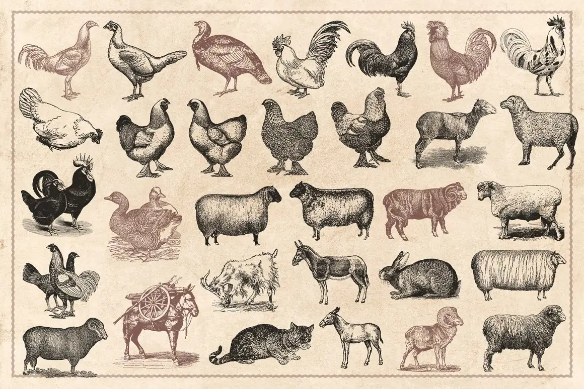 100 Vintage Farm Animals (Vector) 4 100 vintage farm animals (vector) (3) 20327