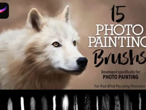 15 photo painting brushes 40473