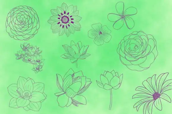 22 Brushes of Flowers Stamps for Procreate 3 22 brushes of flowers stamps for procreate 1 33491