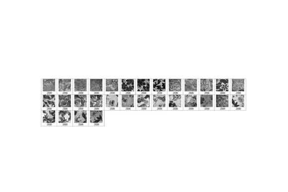 30 Floral Fabric Photoshop Stamp Brushes 3 30 floral fabric photoshop stamp brushes by artistmef 2 580x387 12272