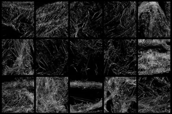 30 Plastic Photoshop Stamp Brushes 1 4 30 plastic photoshop stamp brushes 1 by artistmef 4 580x387 12418