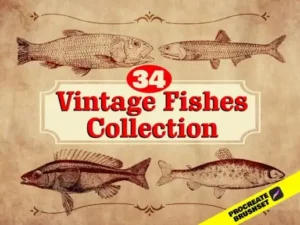 34 retro fish stamp brush for procreate graphics 27335982 1 1 580x387 39072
