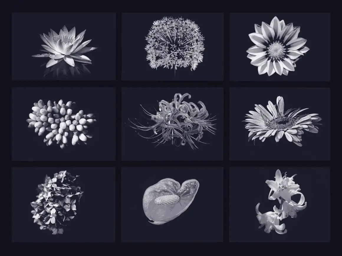 40 flowers brushes for procreate 4 40 flowers brushes for procreate (2) 28495