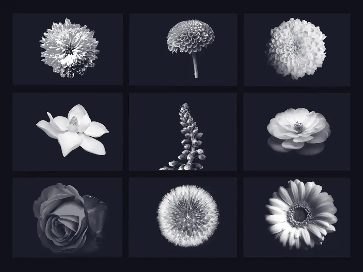 40 flowers brushes for procreate 6 40 flowers brushes for procreate (3) 28381