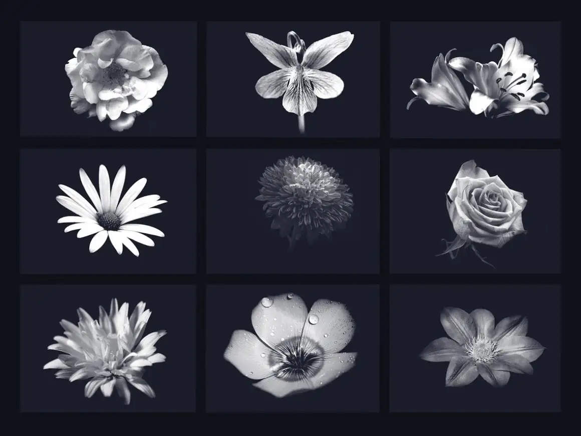 40 flowers brushes for procreate 5 40 flowers brushes for procreate (4) 28384