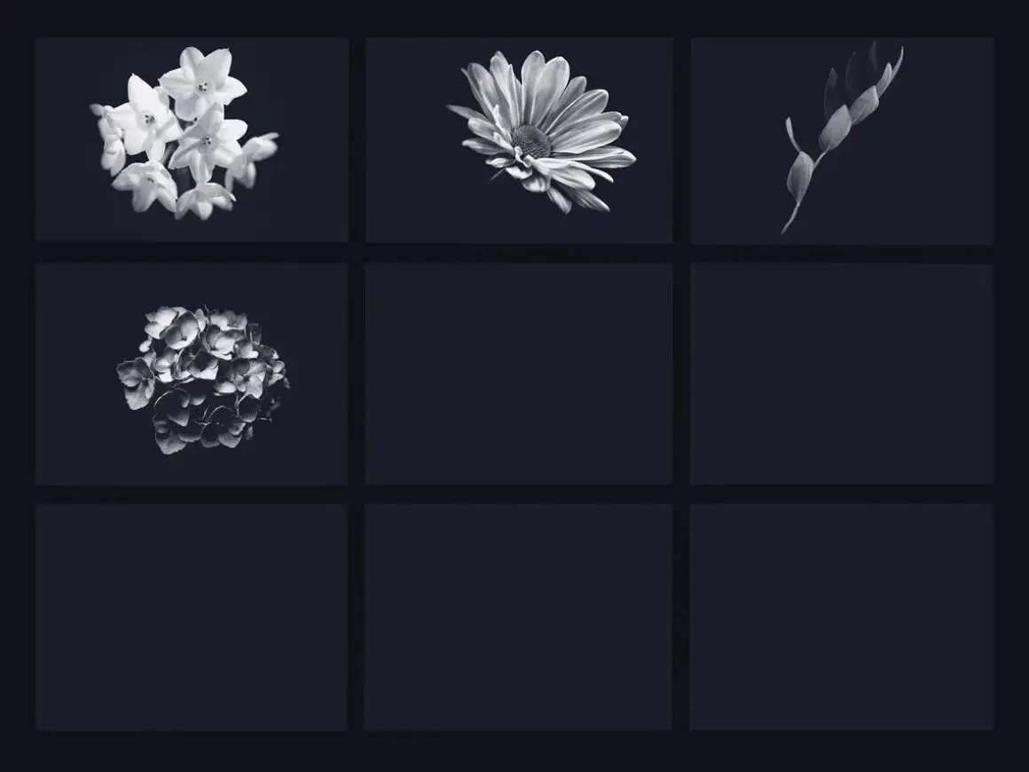 40 flowers brushes for procreate 3 40 flowers brushes for procreate (6) 29575