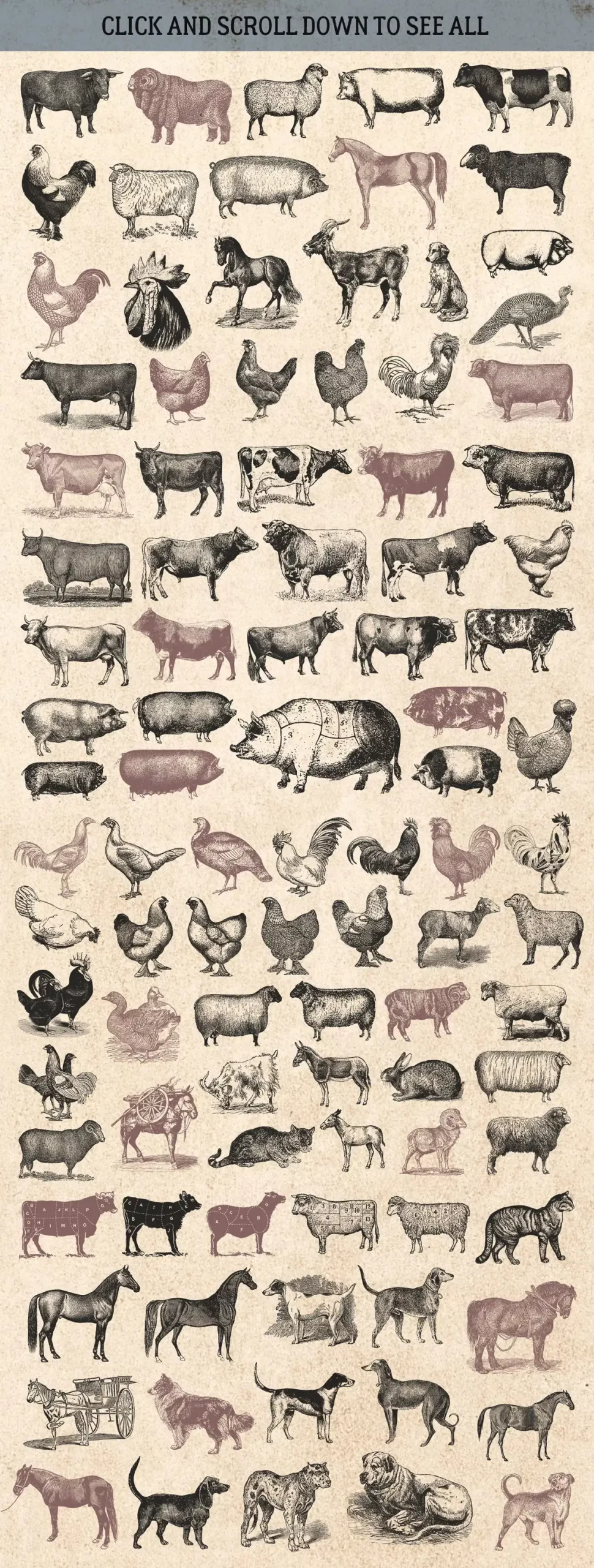 87% OFF Vintage Bundle - Free Update 12 87% off vintage bundle free update 10 farm 20716