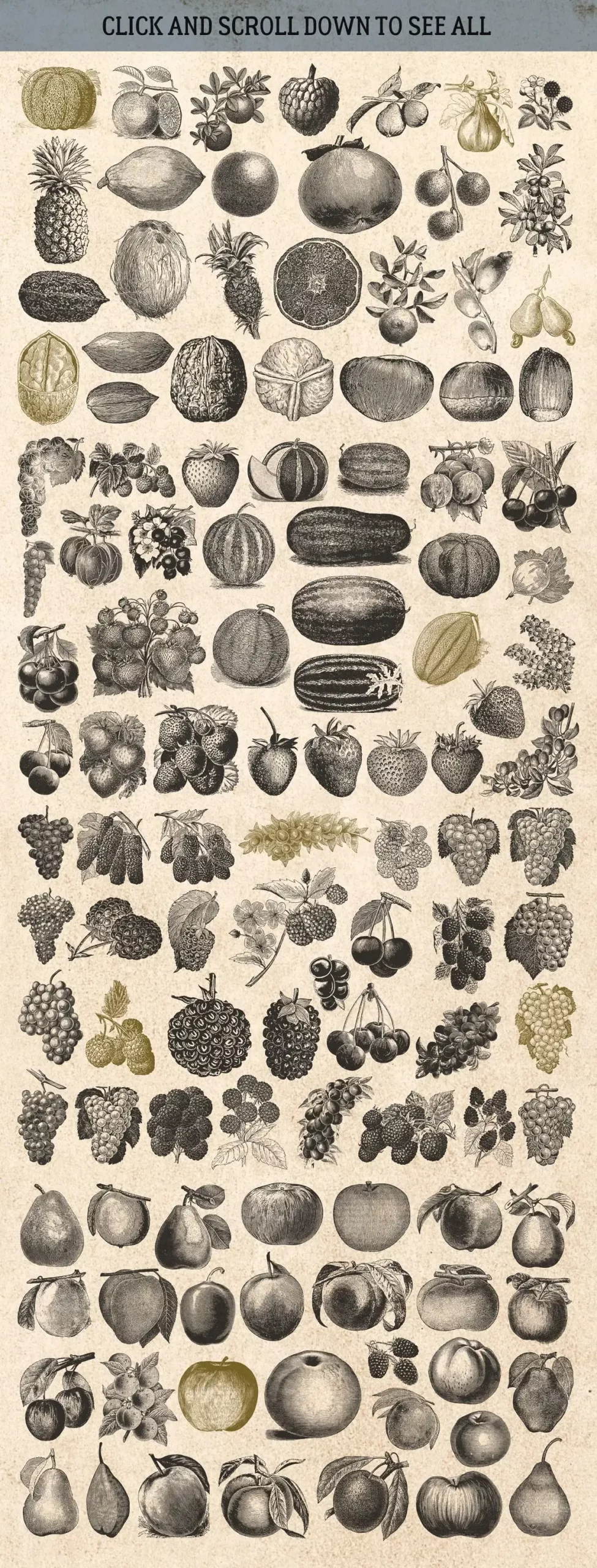 87% OFF Vintage Bundle - Free Update 9 87% off vintage bundle free update 3 fruits 20729