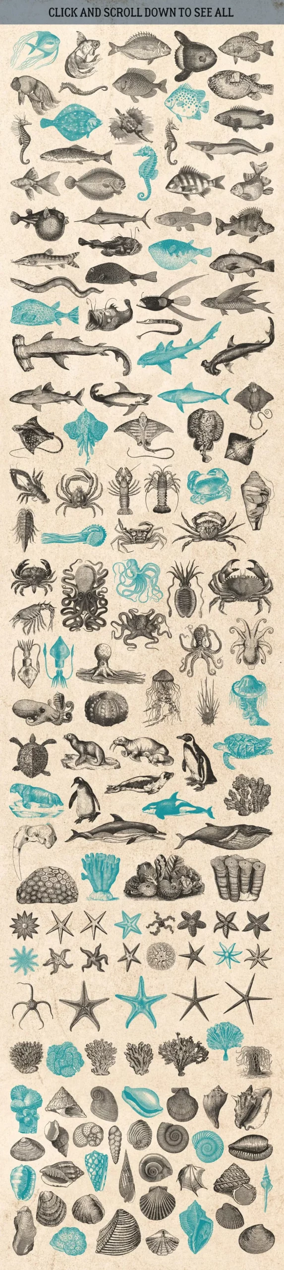 87% OFF Vintage Bundle - Free Update 3 87% off vintage bundle free update 4 sea 20755
