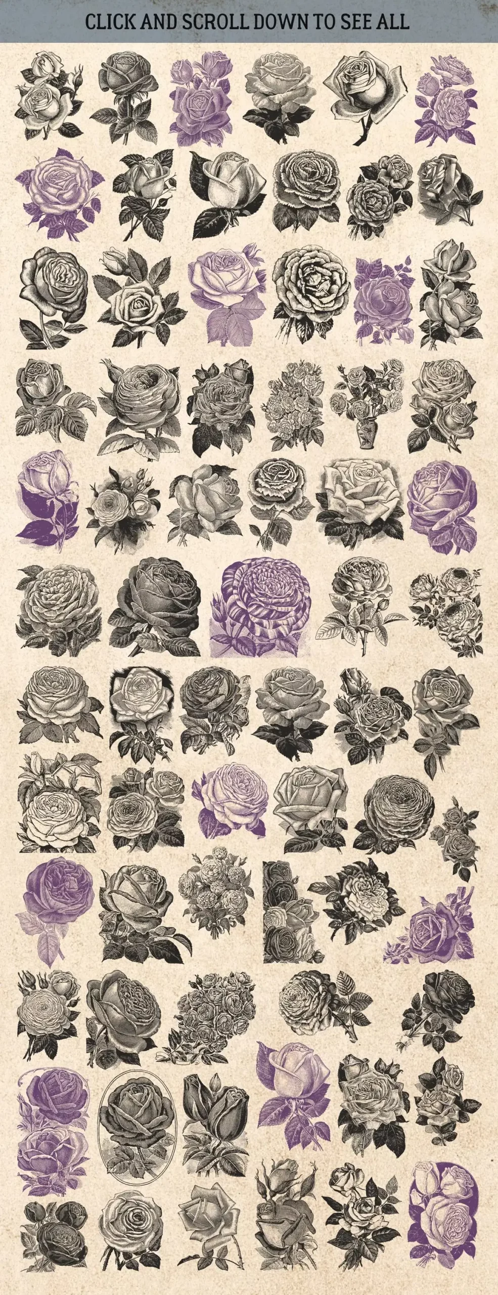 87% OFF Vintage Bundle - Free Update 8 87% off vintage bundle free update 7 rose 20732