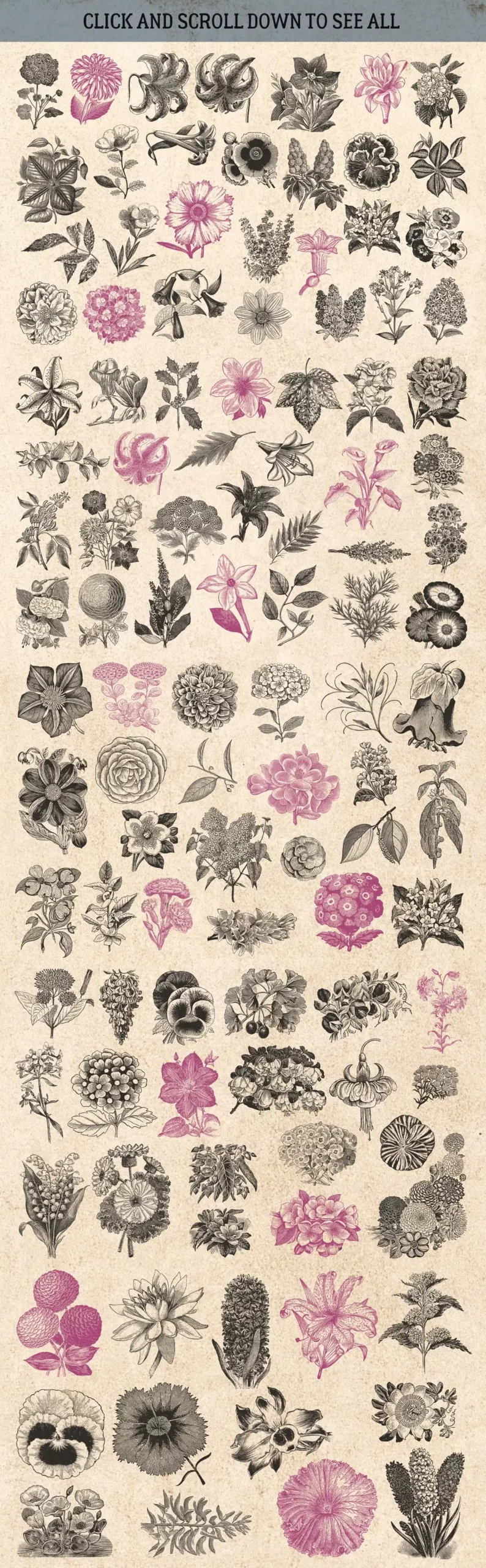 87% OFF Vintage Bundle - Free Update 7 87% off vintage bundle free update 8 flowers1 20744