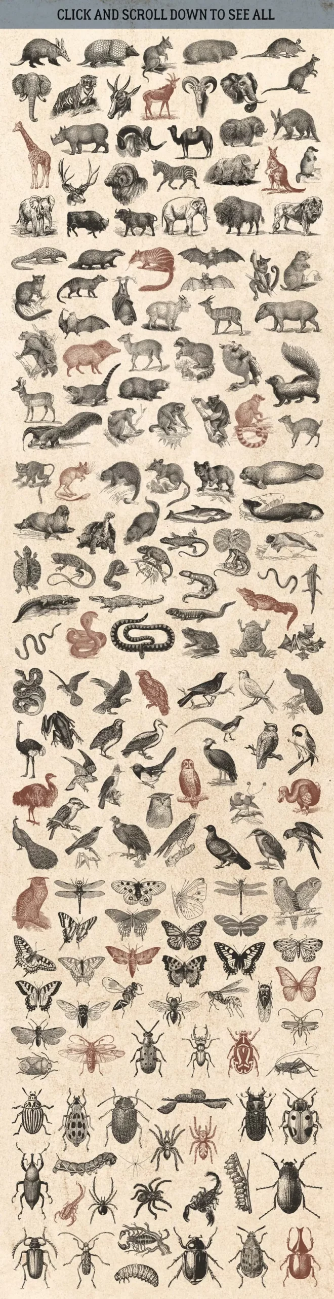 87% OFF Vintage Bundle - Free Update 6 87% off vintage bundle free update 9 wildanimals1 20751