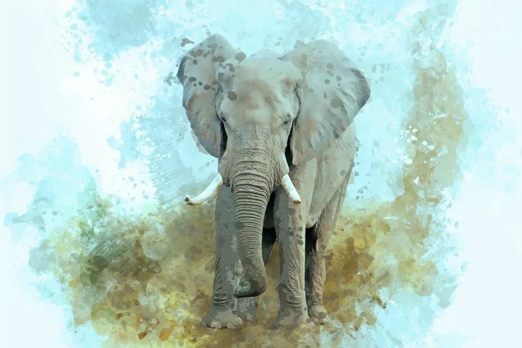 Animal Digital Painting Photo Effect 10 animal digital painting photo effect (6) 40102