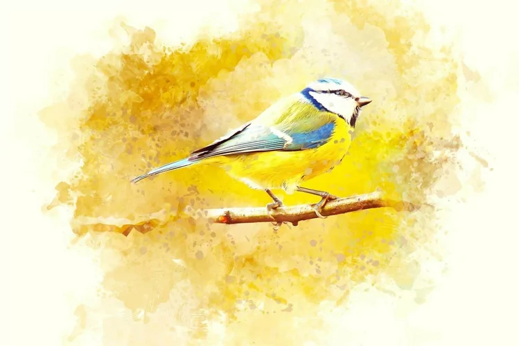 Animal Digital Painting Photo Effect 13 animal digital painting photo effect (8) 39607