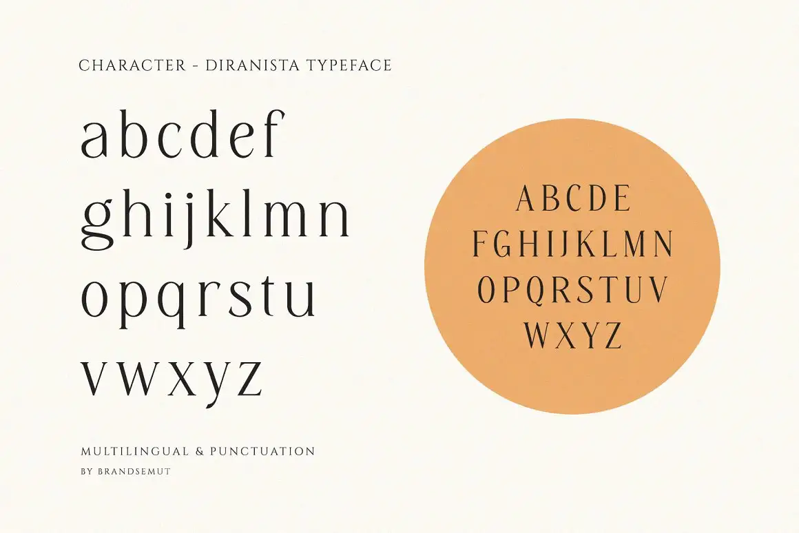 Diranista - Stylish Ligature Serif 10 diranista stylish ligature serif (10) 18715