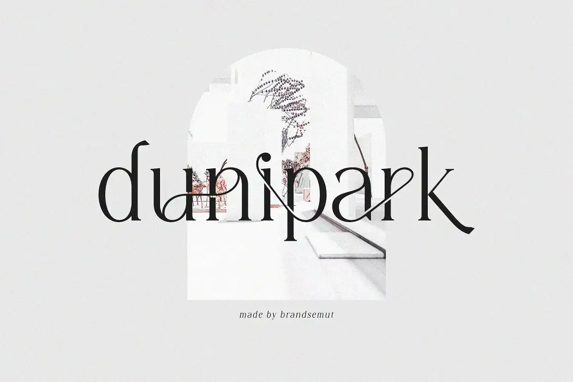 Diranista - Stylish Ligature Serif 9 diranista stylish ligature serif (6) 18763