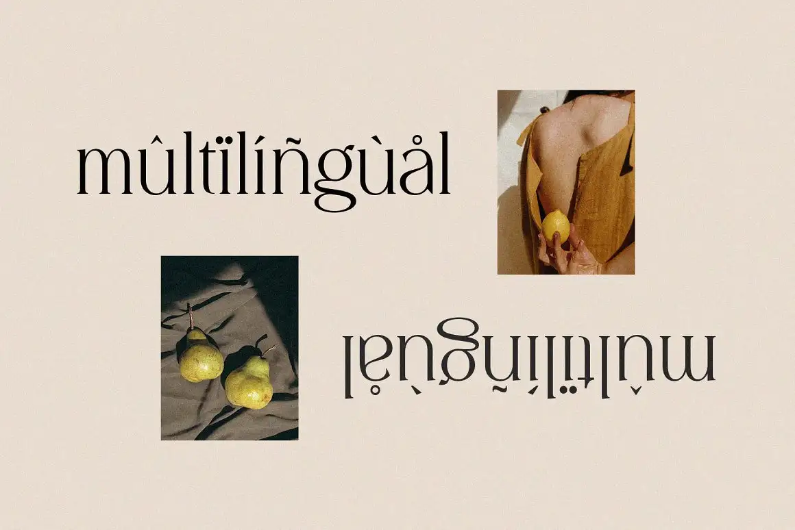 Diranista - Stylish Ligature Serif 8 diranista stylish ligature serif (9) 18803
