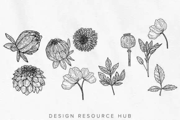 Flat Floral Procreate Stamps 4 flat floral procreate stamps graphics 26007752 2 580x387 33956