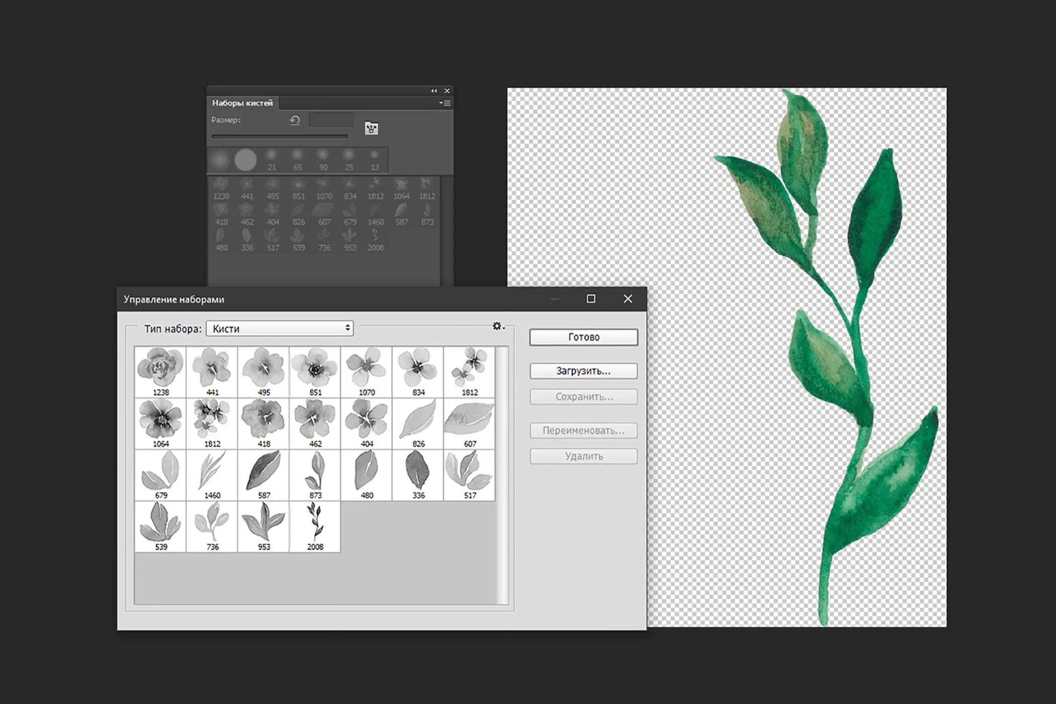 Flowers and leaves Photoshop Brushes Updated 7 flowers and leaves photoshop brushes updated (2) 14593