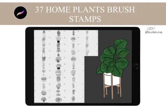Home Plants Stamps Brushes for Procreate 3 home plants stamps brushes for procreate graphics 25552554 1 1 580x387 35331