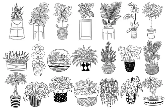 Home Plants Stamps Brushes for Procreate 4 home plants stamps brushes for procreate graphics 25552554 2 580x387 34480