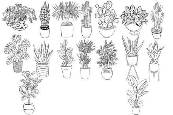 Home Plants Stamps Brushes for Procreate 5 home plants stamps brushes for procreate graphics 25552554 3 580x387 34349