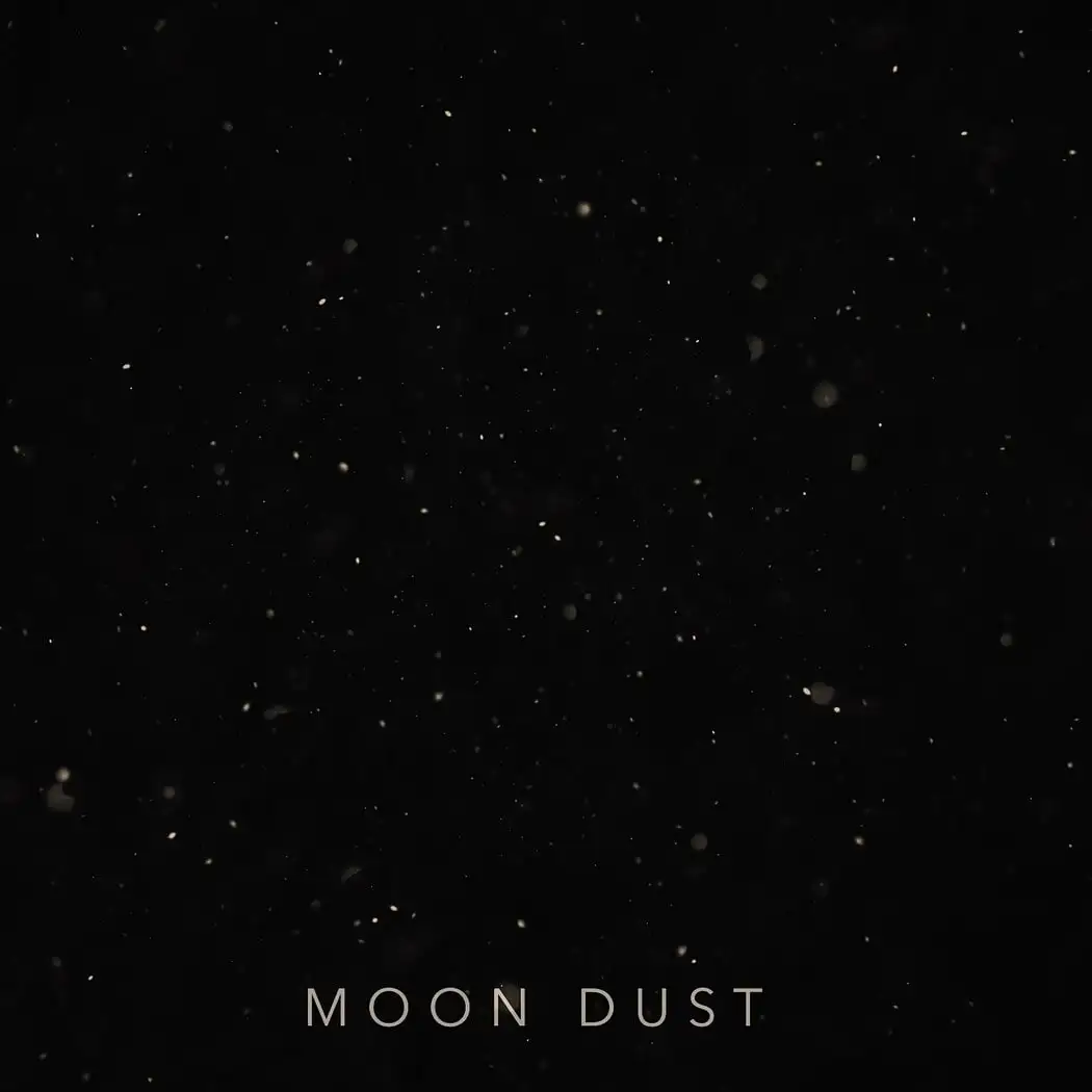 Moon Dust Brush Set 10 moon dust brush set (1) 20858