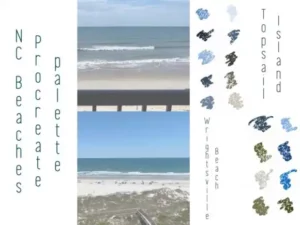 nc beaches procreate color palettes 30475