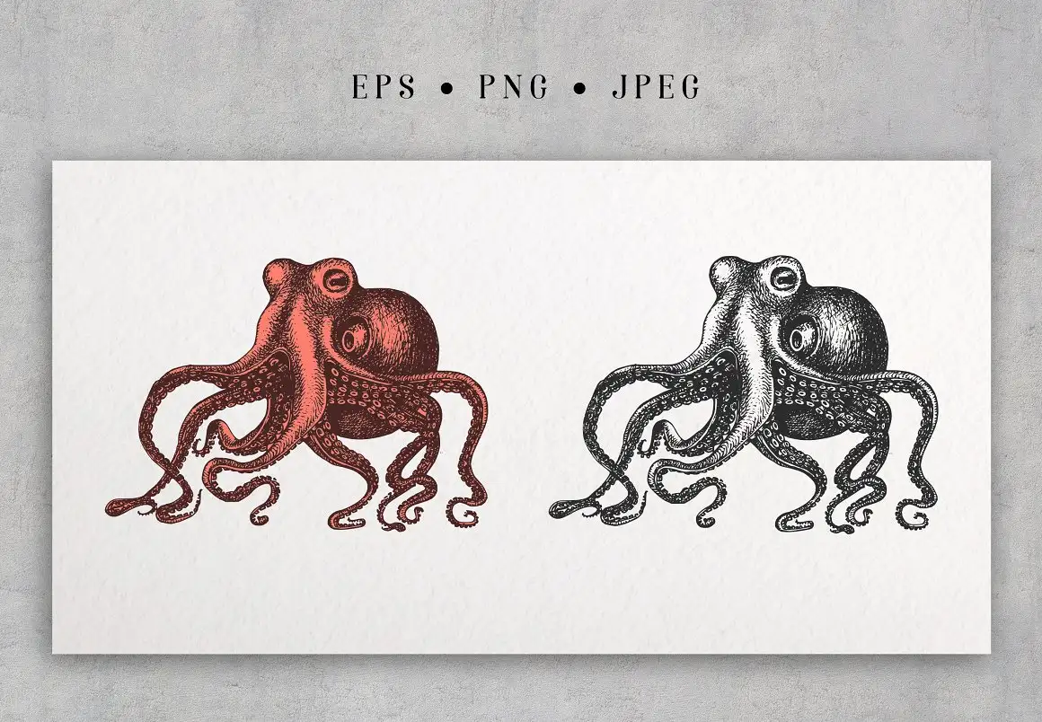 Octopus Vintage Collection 7 octopus vintage collection (2) 22397
