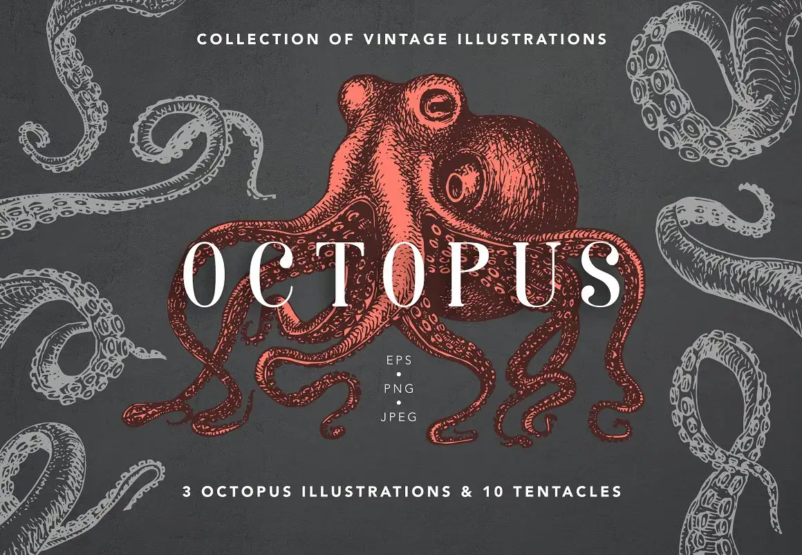 Octopus Vintage Collection 4 octopus vintage collection 22486