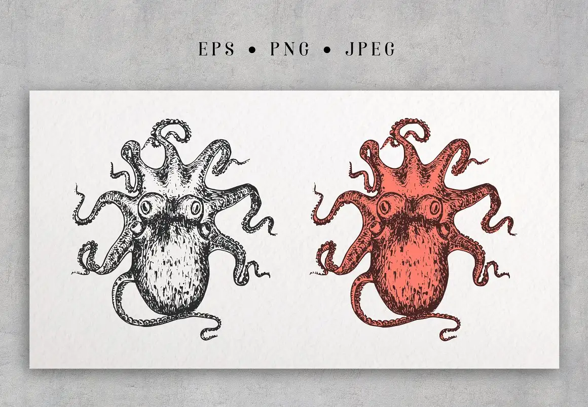 Octopus Vintage Collection 5 octopus vintage collection (4) 22468