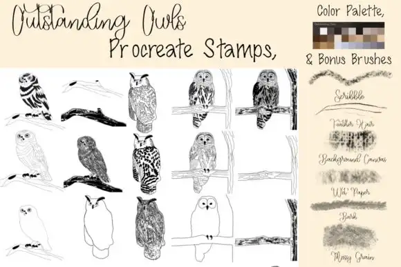 Outstanding Owls Procreate Stamp Bundle 3 outstanding owls procreate stamp bundle graphics 12299553 1 1 580x387 34256