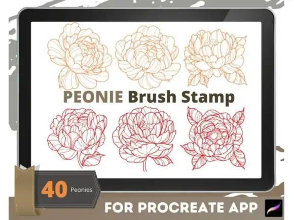 Peony Moth Brush Stamp Procreate Brushes 5 peony moth brush stamp procreate brushes graphics 25944091 3 580x435 21105