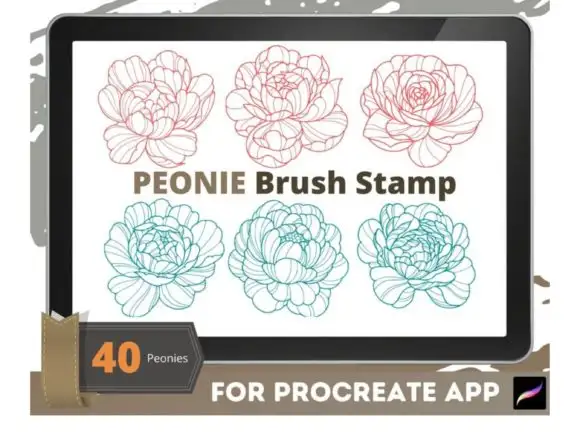 Peony Moth Brush Stamp Procreate Brushes 8 peony moth brush stamp procreate brushes graphics 25944091 4 580x435 21050