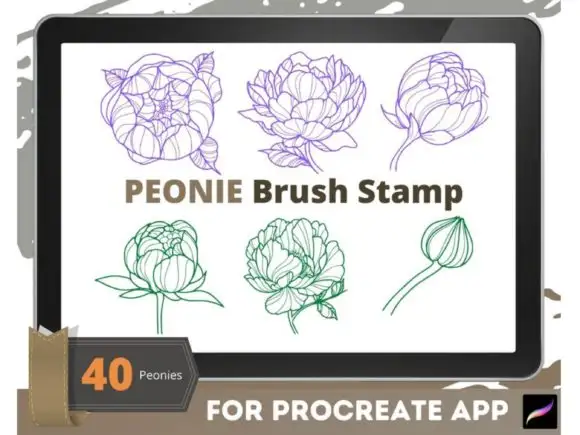 Peony Moth Brush Stamp Procreate Brushes 9 peony moth brush stamp procreate brushes graphics 25944091 7 580x435 21008