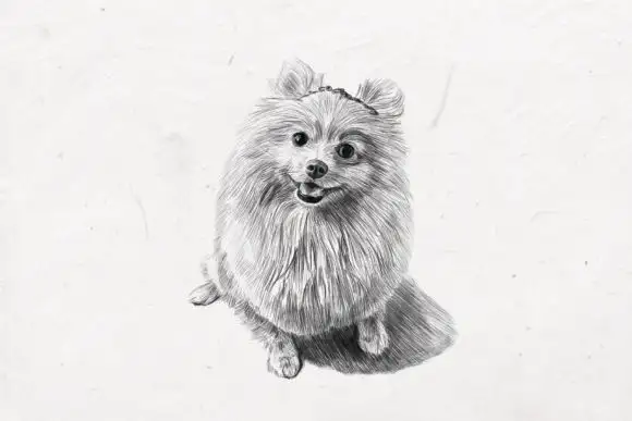 Photoshop Pencil Brush