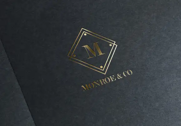 Professional Business Logo Template