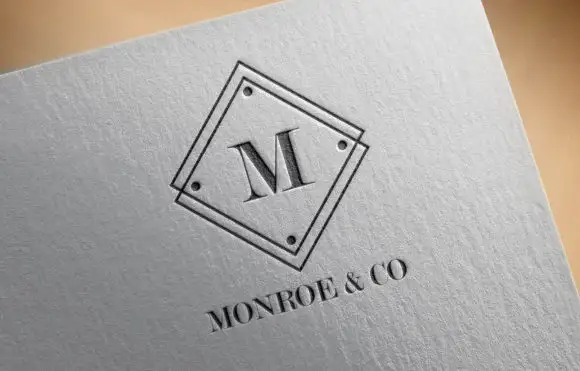 Professional Business Logo Template 3 professional business logo template by denestudios 2 580x371 24158