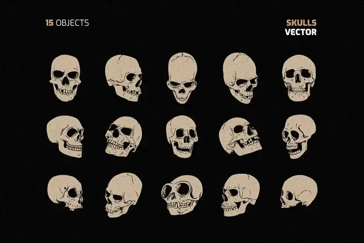 Skull Vector Set 3 skull vector set (2) 32842