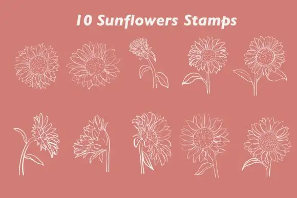 Sunflower Procreate Brush Stamps 3 sunflower procreate brush stamps graphics 11722696 2 580x387 16721
