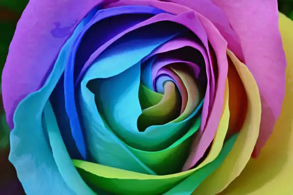 The Oil Painting Photoshop Action 13 the oil painting photoshop action graphics 11652203 3 580x387 24207