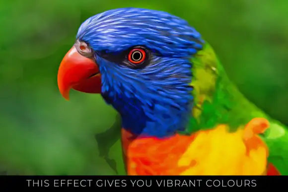 The Oil Painting Photoshop Action 17 the oil painting photoshop action graphics 11652203 5 580x387 23952
