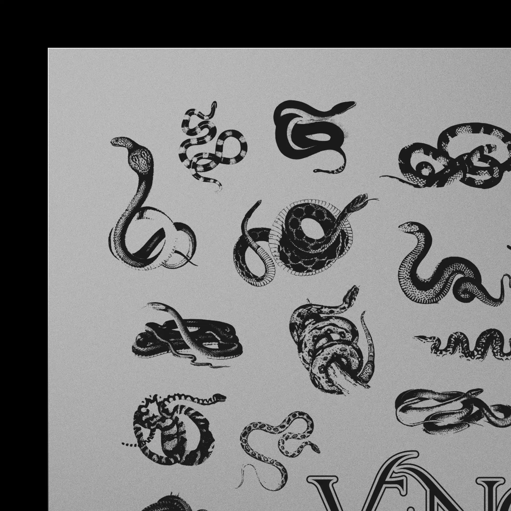VENOM AI 6 venom ai (1) 32077