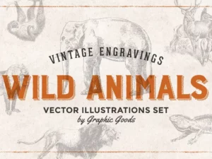 wild animals engravings 31818