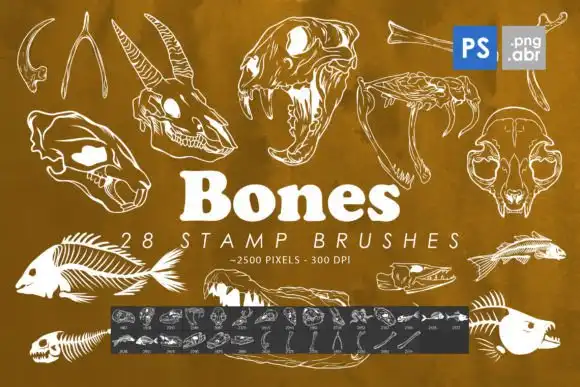 Bones Photoshop Stamp Brushes